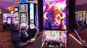 55 bets